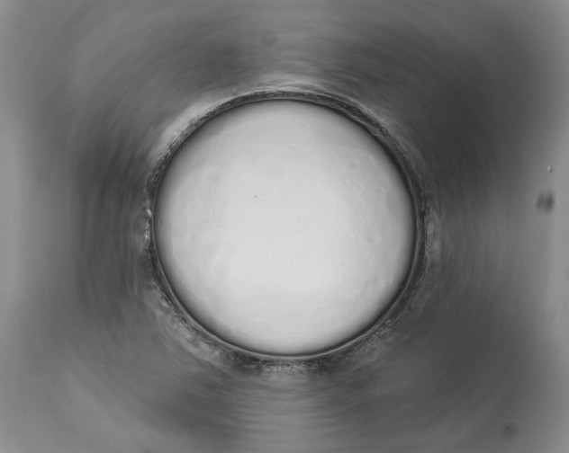 X0000114031363200910231850