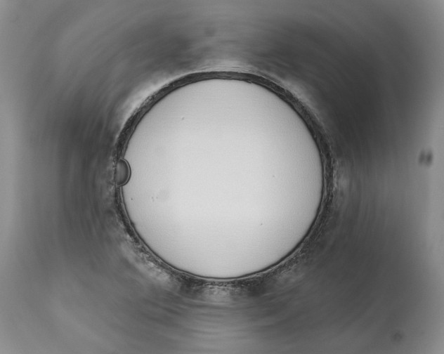 X0000114031364200910231850