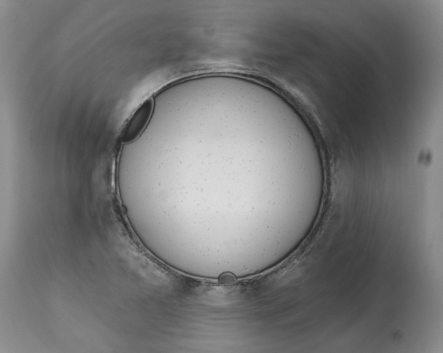 X0000114031365200910231850