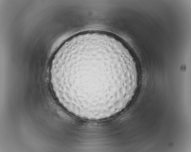 X0000114031366200910231850