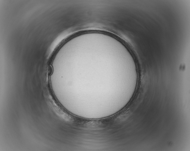 X0000114031368200910231850