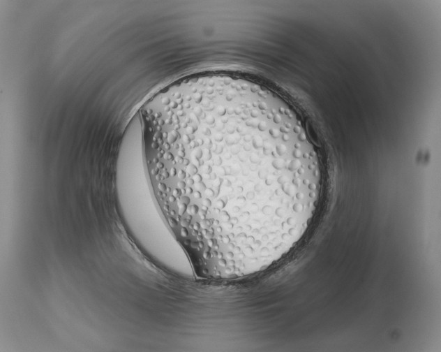 X0000114031369200910231850