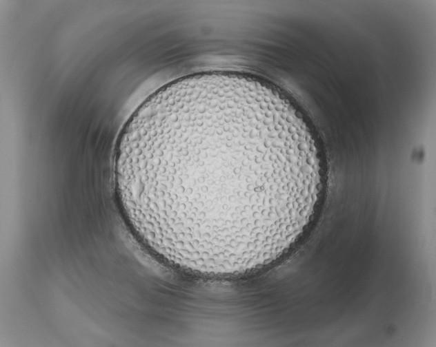 X0000114031370200910231850