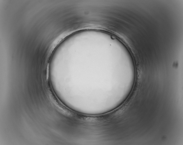 X0000114031371200910231850