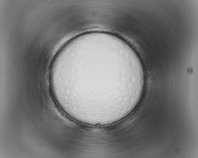 X0000114031375200910231850