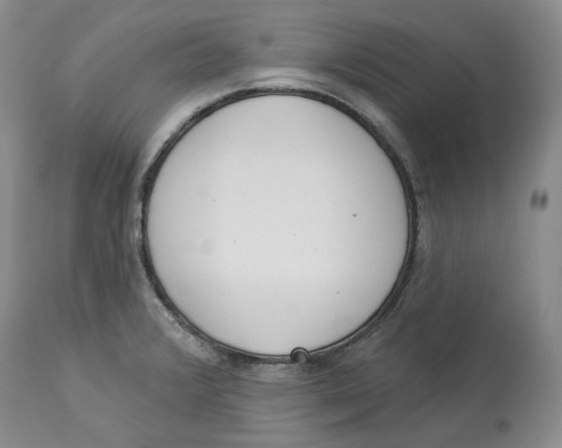 X0000114031376200910231850