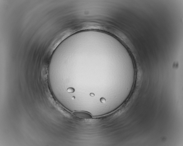 X0000114031377200910231850