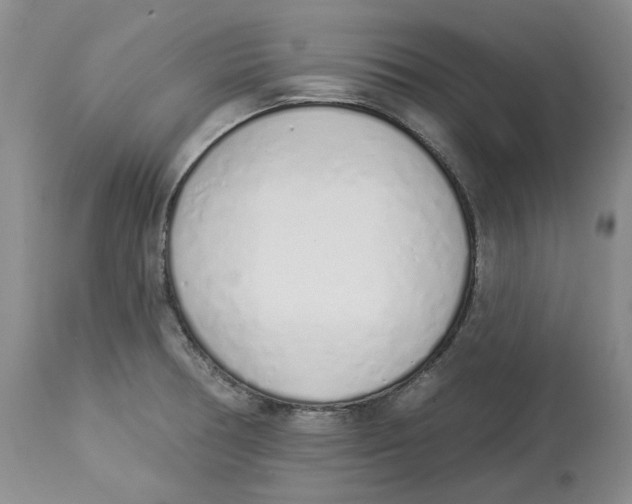 X0000114031378200910231850