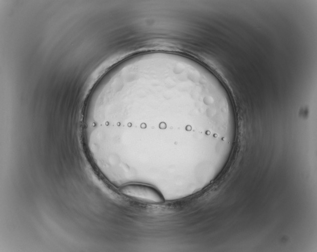 X0000114031379200910231850