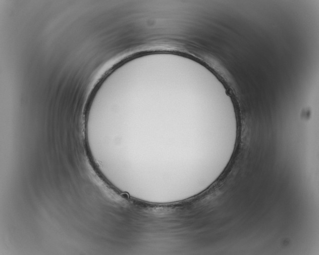 X0000114031380200910231849