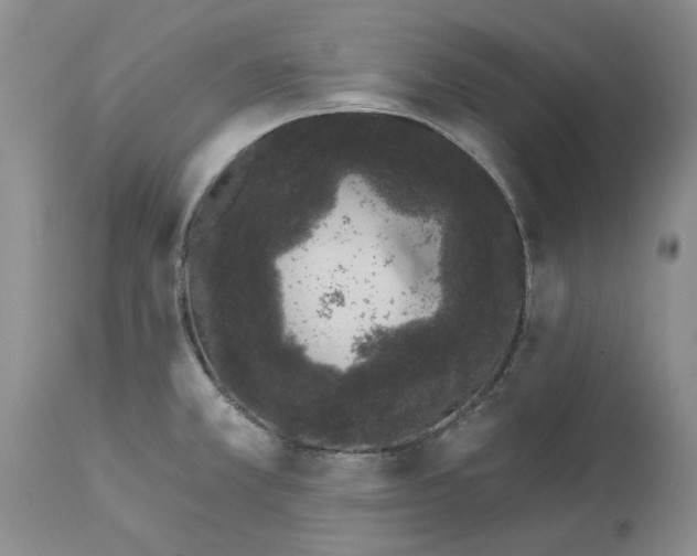 X0000114031381200910231849