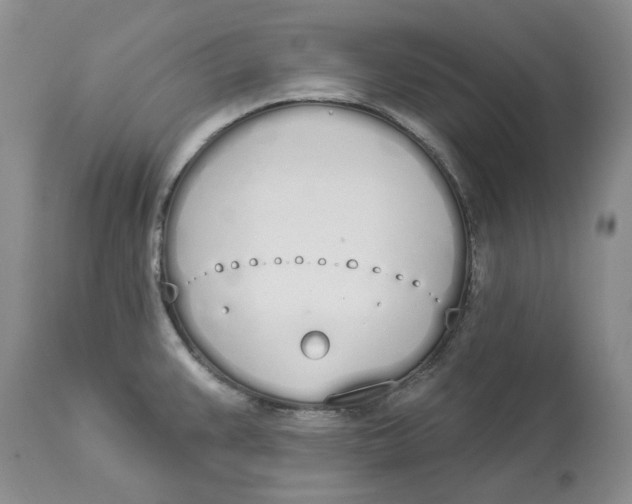 X0000114031383200910231849