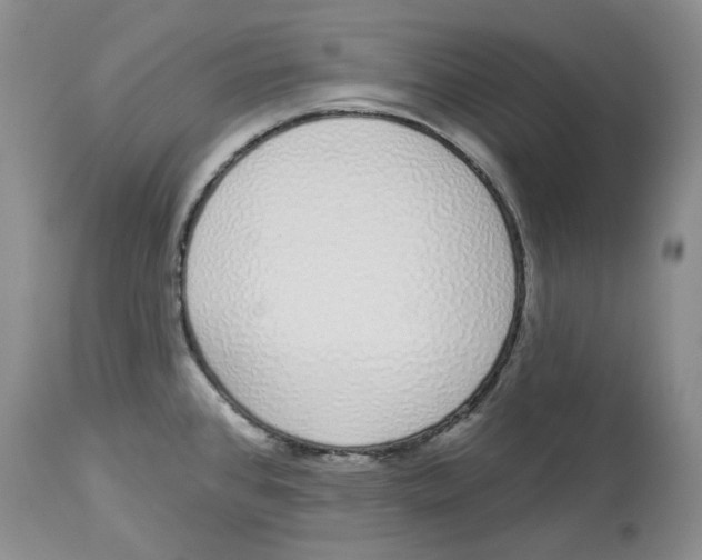 X0000114031384200910231849