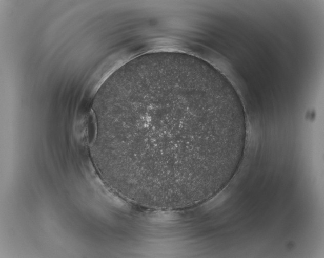 X0000114031385200910231849