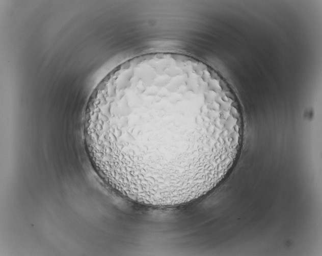 X0000114031386200910231849