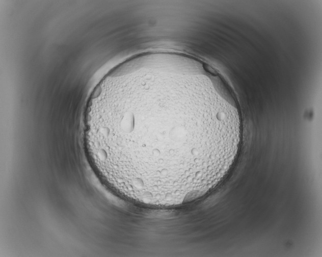 X0000114031387200910231849