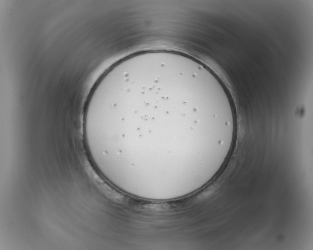 X0000114031388200910231849