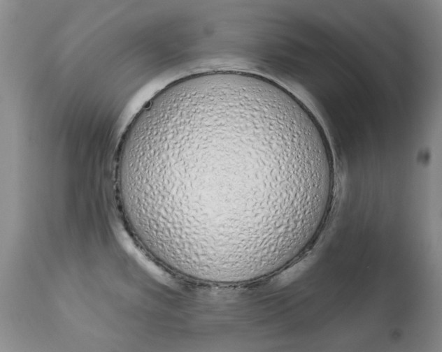 X0000114031389200910231849