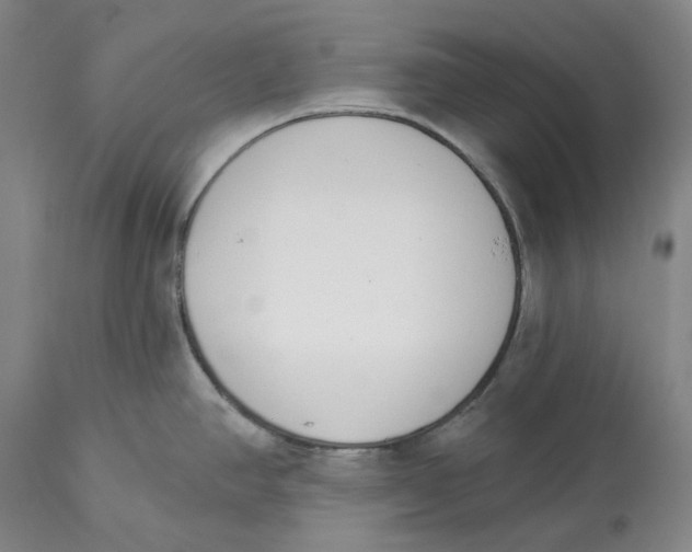 X0000114031390200910231849