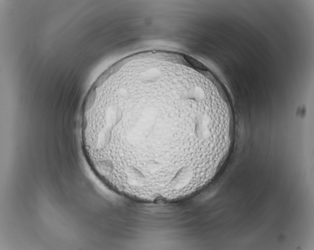 X0000114031391200910231849