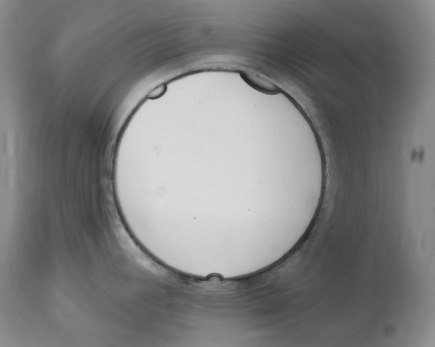 X0000114031392200910231849