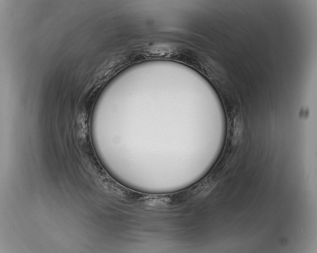 X0000114031394200910231849