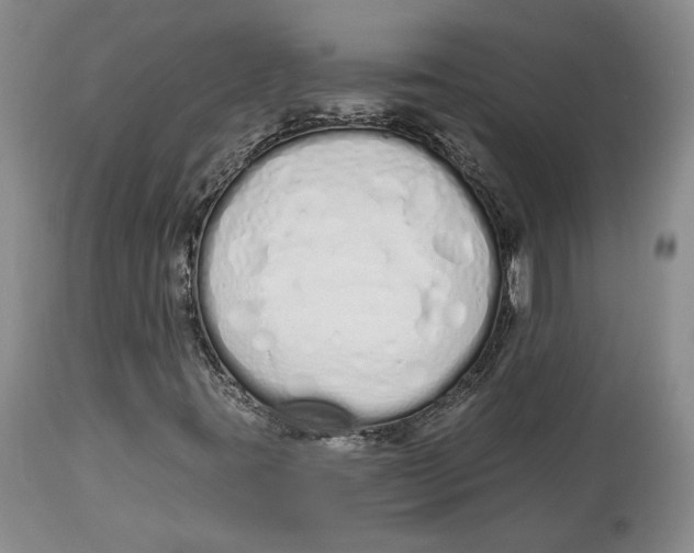 X0000114031395200910231849