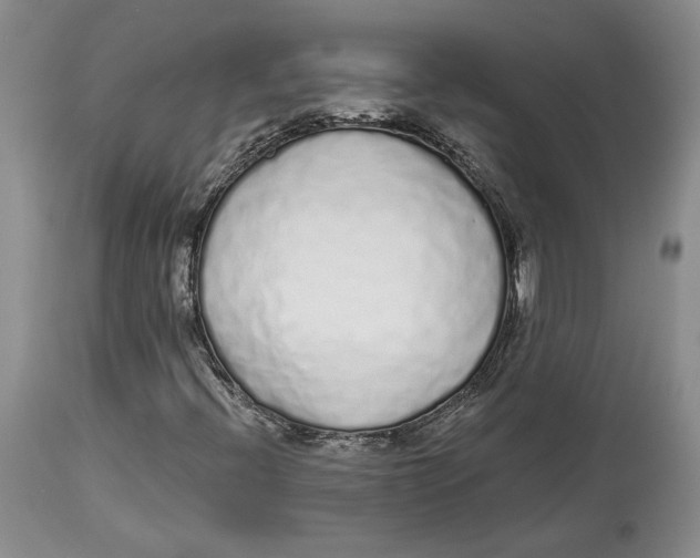 X0000114031396200910231849