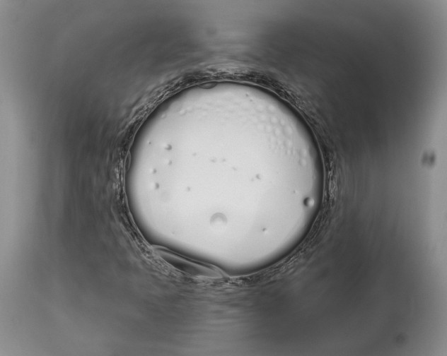 X0000114031397200910231849