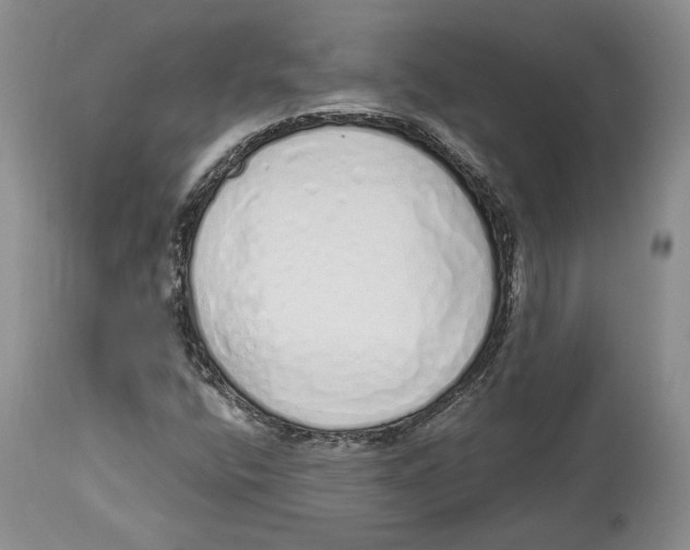 X0000114031400200910231849