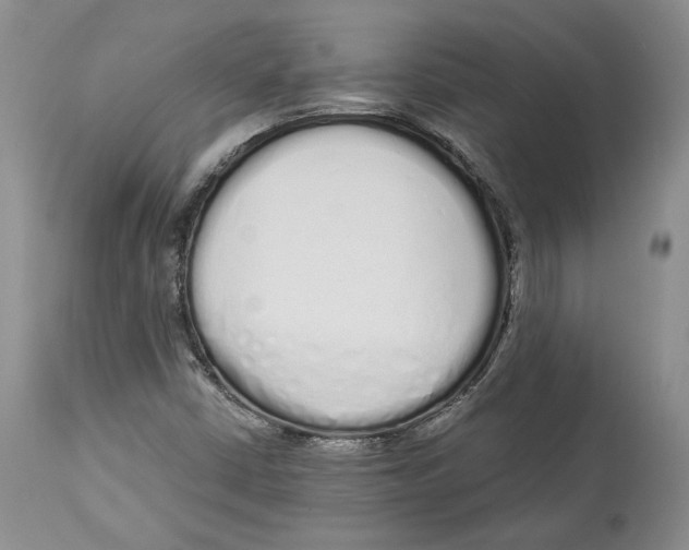 X0000114031402200910231849