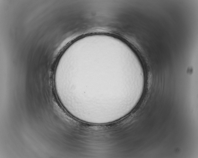 X0000114031404200910231849