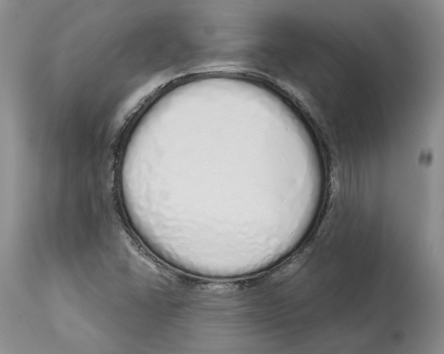 X0000114031406200910231849