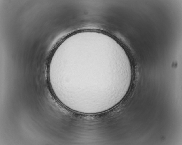 X0000114031408200910231849