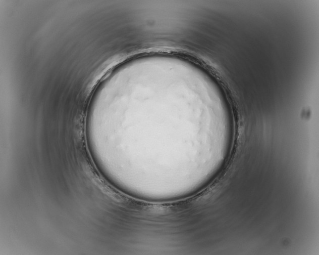 X0000114031409200910231849