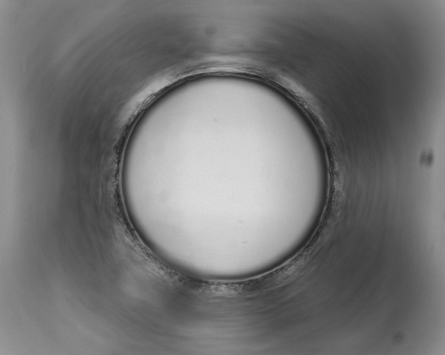 X0000114031411200910231849