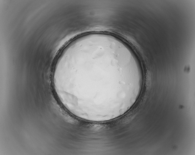 X0000114031412200910231849