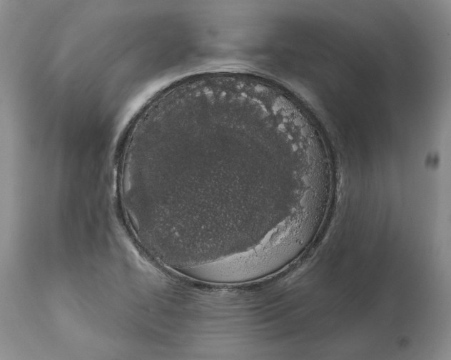 X0000114031414200910231849