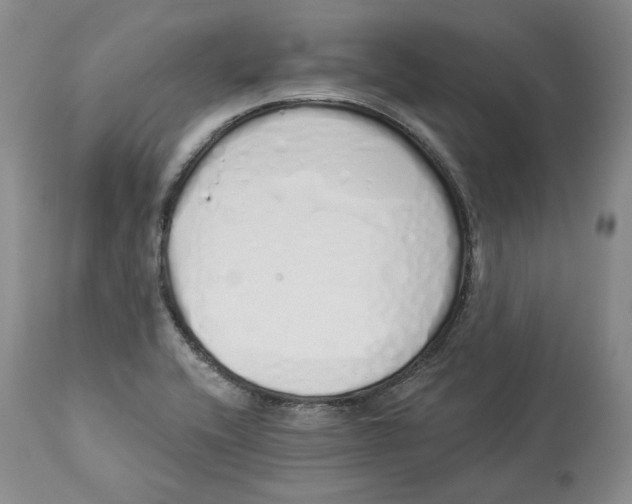 X0000114031416200910231849