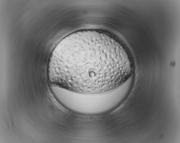 X0000114031417200910231849