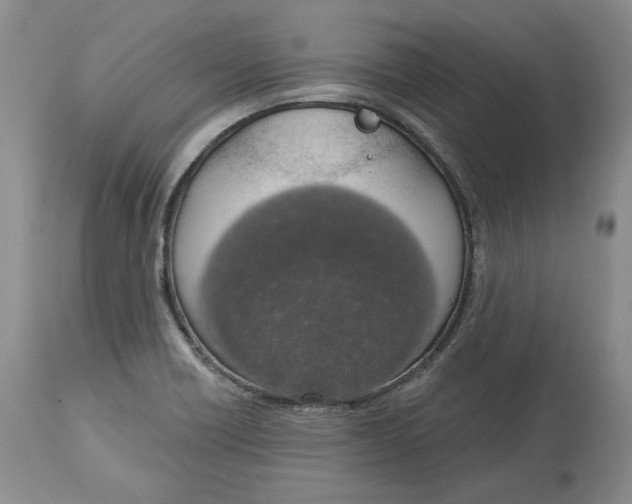 X0000114031418200910231849