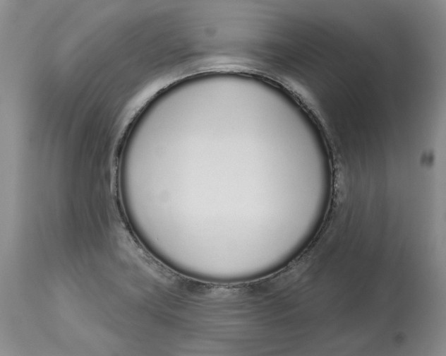 X0000114031419200910231849