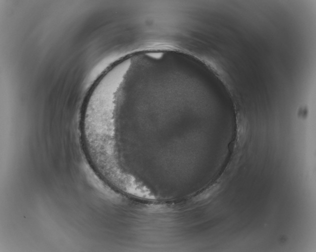 X0000114031422200910231849