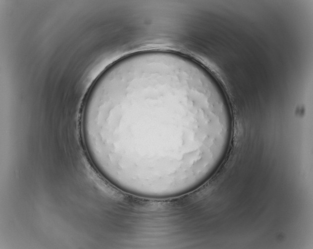 X0000114031423200910231849