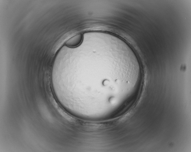 X0000114031425200910231849