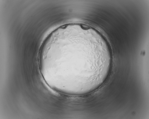 X0000114031429200910231849