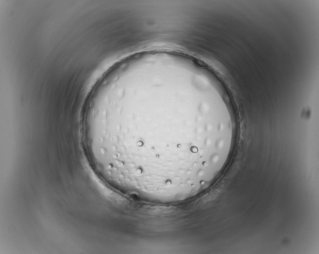 X0000114031430200910231849