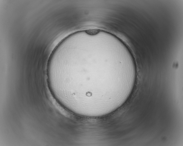 X0000114031431200910231849