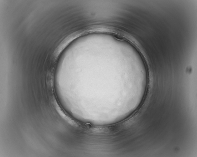 X0000114031433200910231849