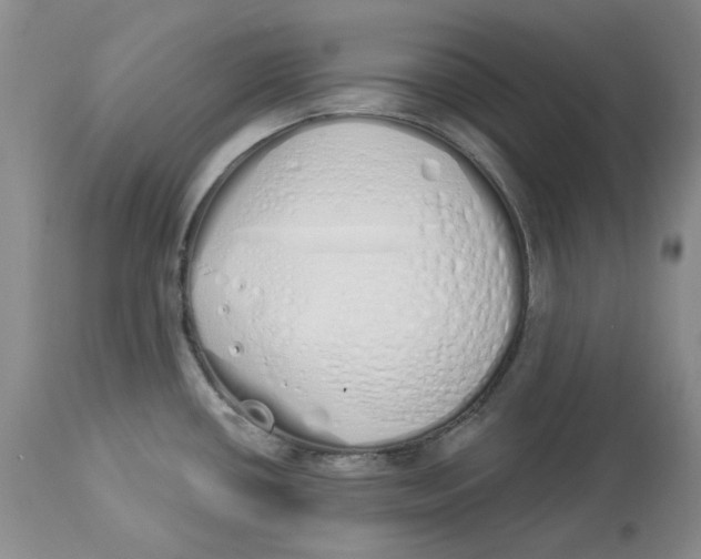 X0000114031434200910231849